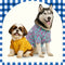 Dog Clothing