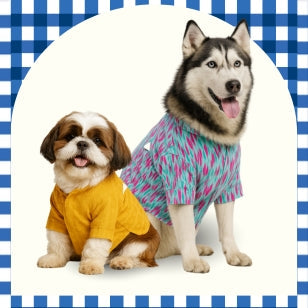 Dog Clothing