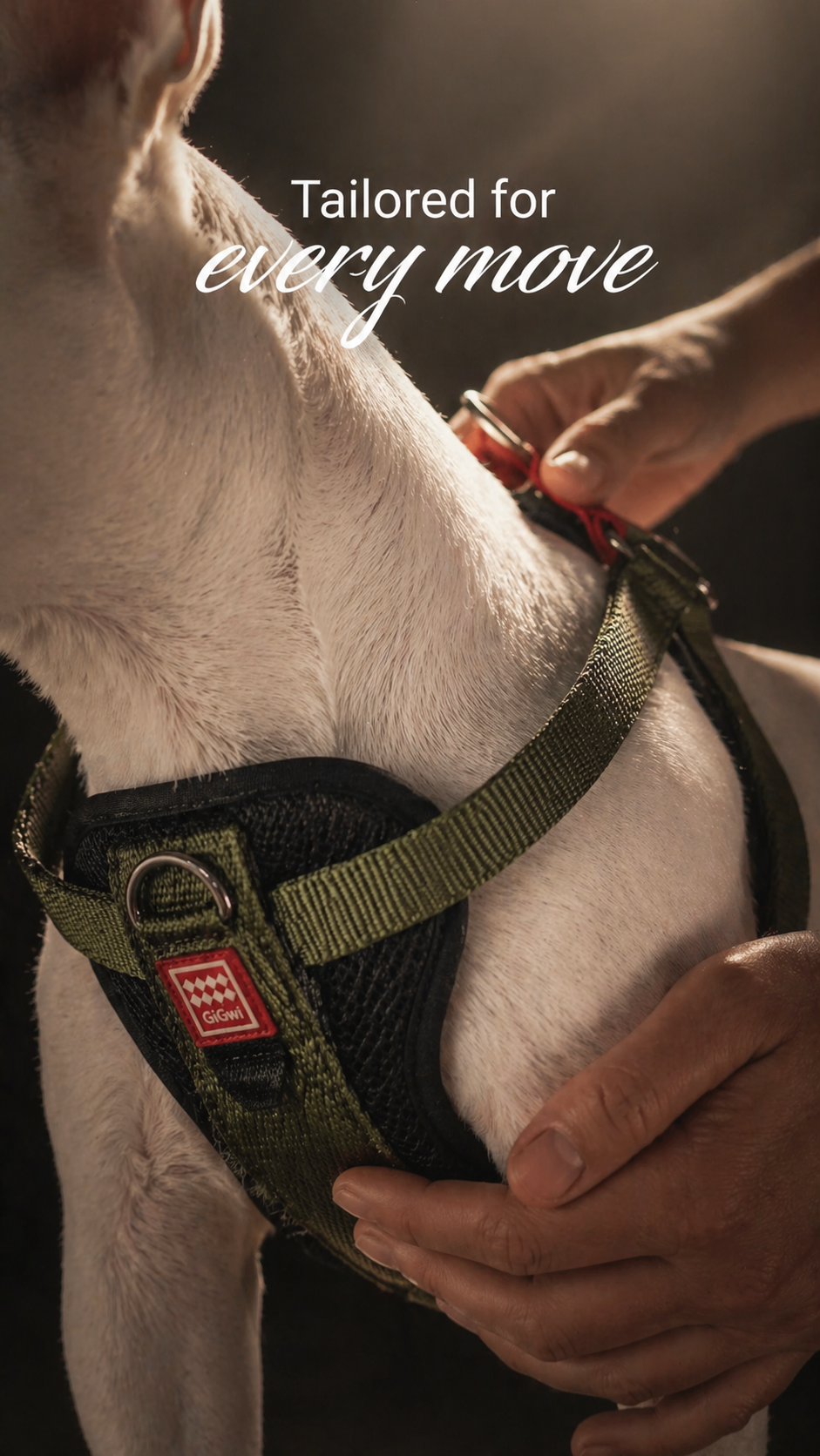 Gigwi Premium Line Harness