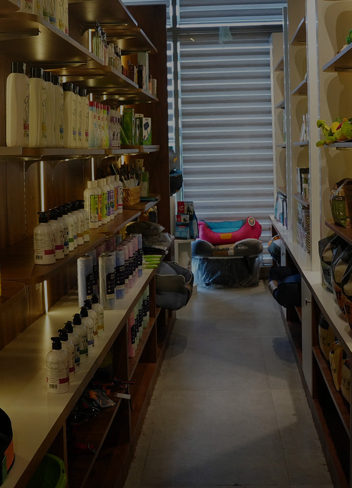 <h1><strong>Noida’s<br/>First Luxury<br/>Pet Experience<br/>Centre</strong></h1>