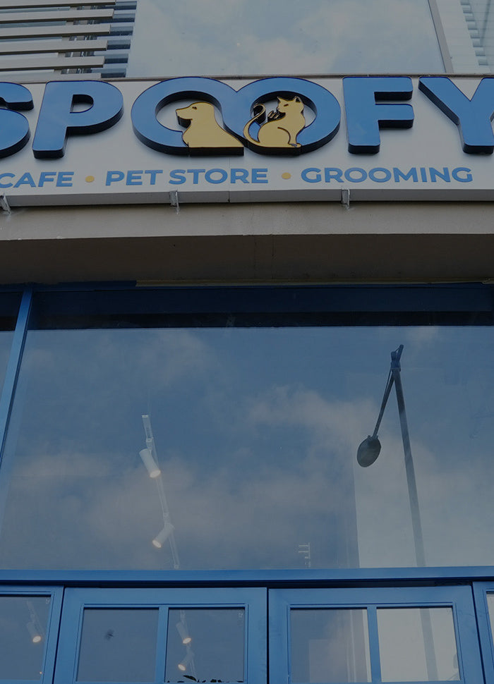 <h1><strong>Noida’s<br/>First Luxury<br/>Pet Experience<br/>Centre</strong></h1>