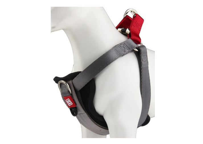 Gigwi Premium Line Harness