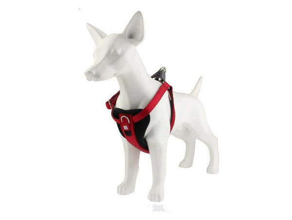 Gigwi Premium Line Harness