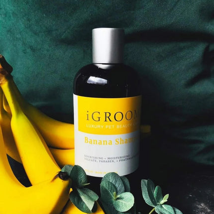Igroom Banana Shampoo