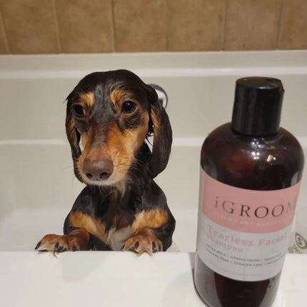 Igroom Tearless Facial Shampoo
