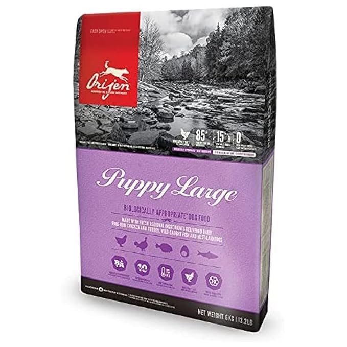 Orijien Puppy Large 6kg