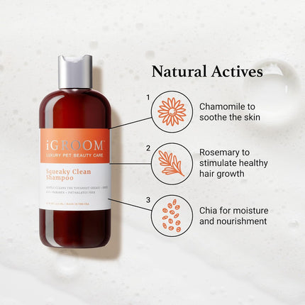 iGroom Squeaky Clean Shampoo