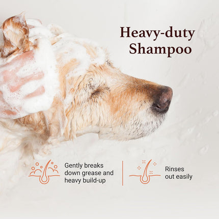 iGroom Squeaky Clean Shampoo